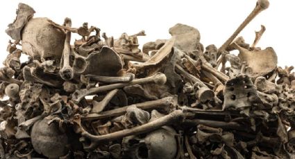 Identifican a 17 de los 34 cuerpos hallados en una fosa clandestina en Jalisco