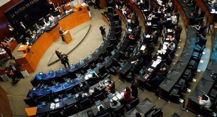 “La Cuarta Transformación es la dictadura más democrática que he conocido”, asegura morenista Óscar Cantón