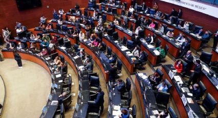 Senado aprueba reforma contra la desaparición de personas; Segob creará padrón de biométricos de niños y adolescentes