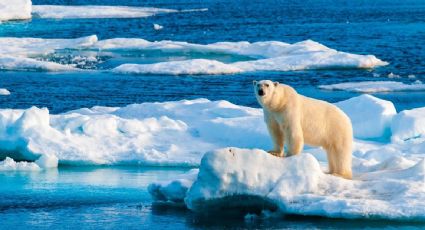 Cobertura de hielo en el Ártico está en su nivel mínimo para un verano desde que se tiene registro