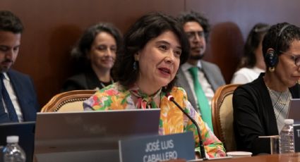 Tania Reneaum es reelecta como secretaria ejecutiva de la CIDH para los próximos cuatro años