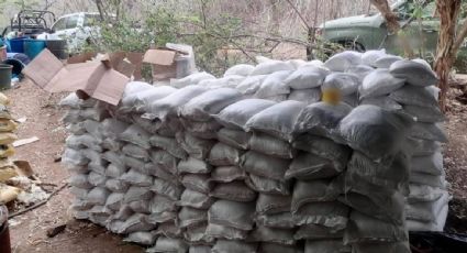 Fuerzas federales aseguran fábrica de drogas sintéticas en Michoacán; había más de 600 costales con sustancias químicas