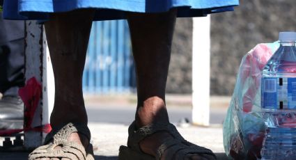 ONG crearán una organización para sustituir al Coneval y medir la pobreza