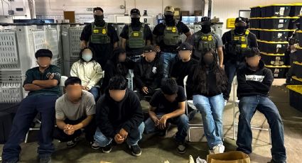 Encuentran a 10 menores de edad migrantes en redada a granja de California