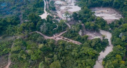 Detienen en Colombia a 15 personas por delitos ambientales en el Amazonas tras operativo de Emiratos Árabes
