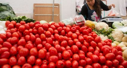 EU pone en marcha arancel de casi 21% al jitomate importado desde México; prevén aumento de precio