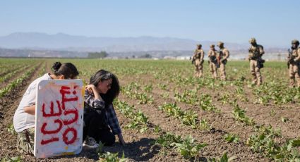 Asciende a 361 la cifra de migrantes detenidos tras redada en granja agrícola en California