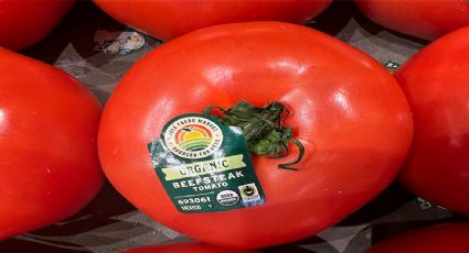 Productores mexicanos alertan alza de precios y riesgo alimentario por aranceles al jitomate