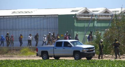 Redadas migratorias siembran el miedo entre trabajadores en campos de fruta de California