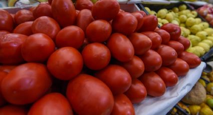 Aranceles al jitomate afectarán las economías y encarecerán alimentos básicos en México y EU, asegura Ramírez Cuéllar