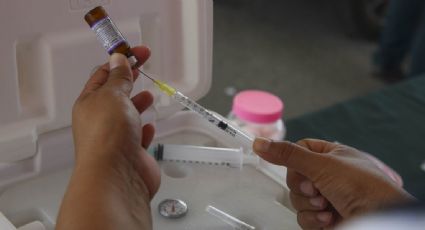 OMS da a conocer que 27% de los lactantes en México no recibieron la vacuna contra difteria, tos ferina y tétanos