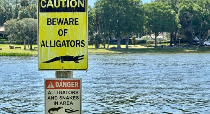 Abogados de personas detenidos en Alligator Alactraz acusan pésimas condiciones y falta de acceso a asesoría legal