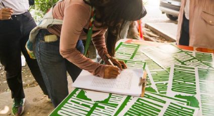 ONG alerta que crimen organizado ha asesinado a 84 defensores ambientales en México desde 2016