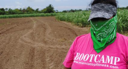 Migrantes mexicanos en EU enfrentan discriminación y precariedad que deterioran su salud mental, revela estudio