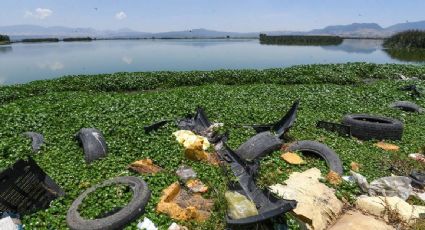 En los últimos cinco años, México aumentó sus emisiones de gases de efecto invernadero, señala la OCDE