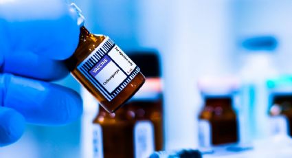 OMS llama a evitar epidemia del virus chikungunya tras brotes en la región del océano Índico