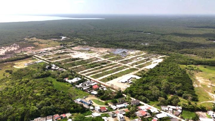 El nuevo negocio de Amílcar Olán: el amigo y operador de los hijos de AMLO arranca el sexenio de Sheinbaum como empresario inmobiliario