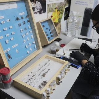 Baja participación de mujeres en carreras STEM amenaza el crecimiento industrial en México