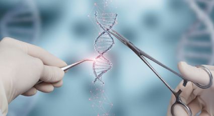 Por primera vez, un paciente recupera la vista gracias a una terapia génica