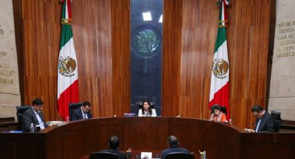 TEPJF ordena al INE devolver el triunfo a 15 candidatos que no cumplieron con nueve de promedio