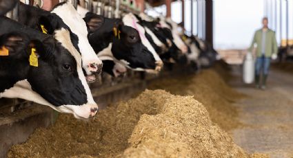 Redadas migratorias aumentan temores entre trabajadores y dañan producción en EU