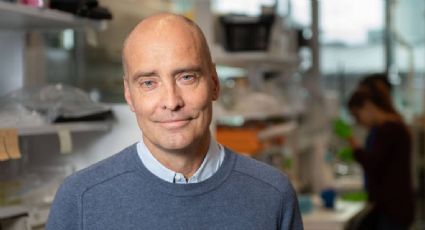 Perros y ratones viejos sí pueden aprender nuevos trucos (y quizá las personas también)