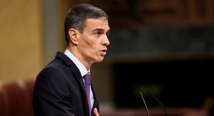 Suman nueve jabalíes muertos en Barcelona por peste porcina africana