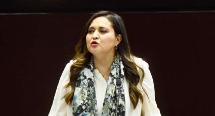 Caso Ximena Pichel: senadora de Morena propone revocar estancia en México a extranjeros acusados de discriminación