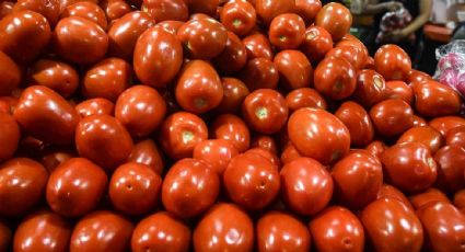 México fija precios mínimos a exportación de jitomates a EU tras arancel por antidumping