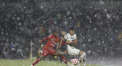 ¡Polémica y tormenta en CU! Pumas empata con Necaxa y el árbitro no señala un penalti claro en favor de los felinos en la compensación