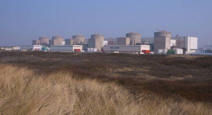 Se paralizan cuatro reactores de central nuclear en Francia por la presencia masiva de medusas