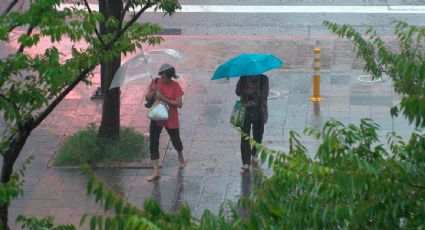 Taiwán emite alerta marítima ante tifón "Podul", que podría tocar tierra este miércoles