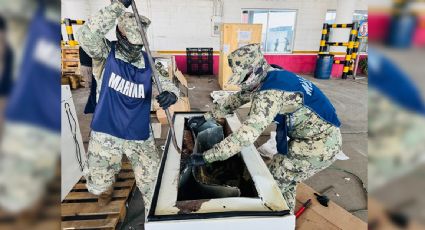 Confiscan más 300 kilos de marihuana en la aduana del puerto de Veracruz, lista para exportarse