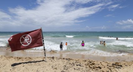 Huracán "Erin" se intensifica y alcanza la categoría 4; islas del mar Caribe serán azotadas por fuertes lluvias