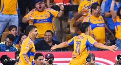 Detienen a tres aficionados de Tigres que protagonizaron una pelea en las gradas del Volcán