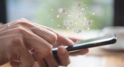 La mayoría de las redes sociales están condenadas desde el inicio a "echarse a perder"