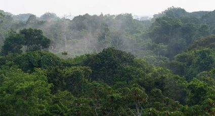 Dan 32 años de cárcel por abuso sexual a padre de los niños que quedaron varados en la selva de Colombia