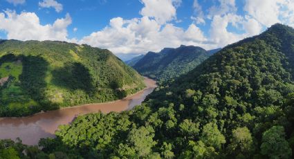 Condenan a 32 años de prisión por abuso sexual a padre de cuatro niños que se extraviaron en selva de Colombia