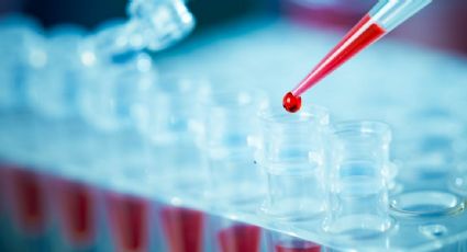 Encuentran ADN en Colombia de un linaje humano extinto y ajeno a otros habitantes del continente