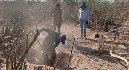 Colectivo suma más de 60 cuerpos hallados desde febrero en fosas clandestinas en carretera La Paz-San Juan