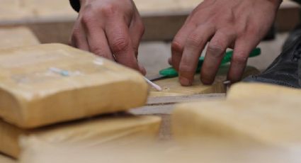 Aseguran 23 millones de dosis de drogas en Florida; "causarían una sobredosis fatal a todo el estado", afirma la Guardia Costera