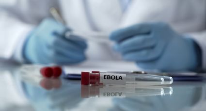 Descubren el camino para hacer el primer antiviral de amplio espectro