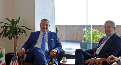 SRE rechaza declaraciones de Ted Cruz: la seguridad en México es asunto exclusivo del Estado