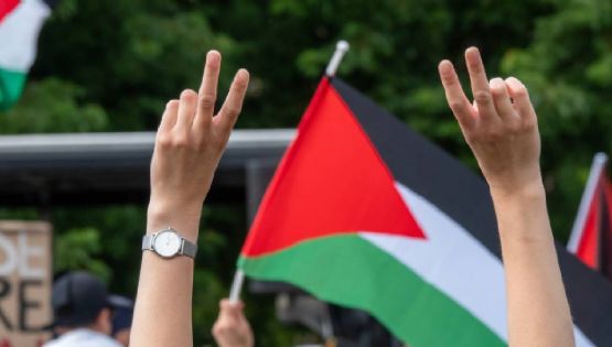 Miles marchan en el Festival de Cine de Venecia en apoyo a Palestina
