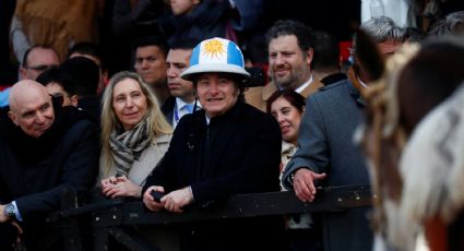 "No hay plata": Milei confirma freno a leyes que aumentaban las pensiones y daban protección a personas con discapacidad