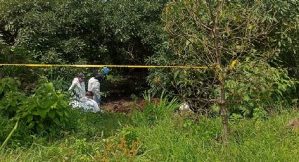 Hallan dos cuerpos dentro de una fosa clandestina en huerto de aguacates de Tepic, Nayarit