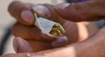 Reubican puntos para consumo lúdico de la marihuana; los mueven del Metro Hidalgo a la Glorieta Violeta