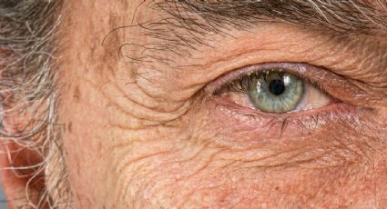 Los “súperancianos” cuya memoria no decae tienen una característica en común: la sociabilidad