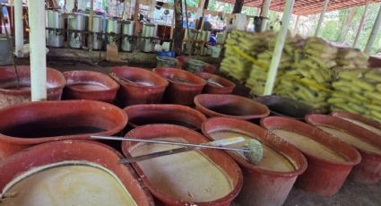 Desmantelan laboratorio para fabricar metanfetamina y aseguran 2.5 toneladas en Chiapas