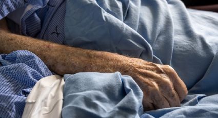 Confirman segunda muerte por rabia en humanos en el país; el nuevo caso ocurrió en Colima